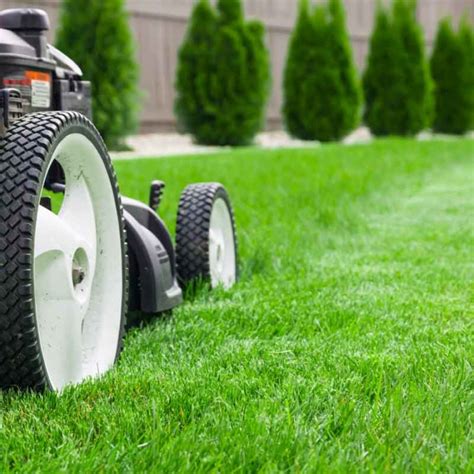 How To Maintain Your Lawn During Winter Trugreen Uk