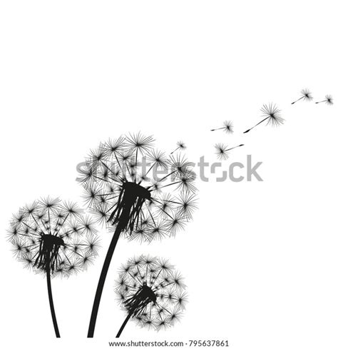 Silhouette Dandelion Stock Vector Royalty Free 795637861 Shutterstock