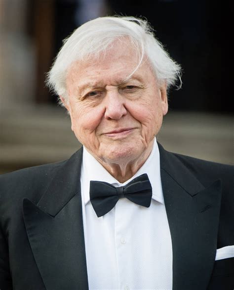 Check out some of our favourite facts about britain's favourite documentary maker, sir david attenborough, in honour of his 90th birthday! How old is David Attenborough? Naturalist and Our Planet ...