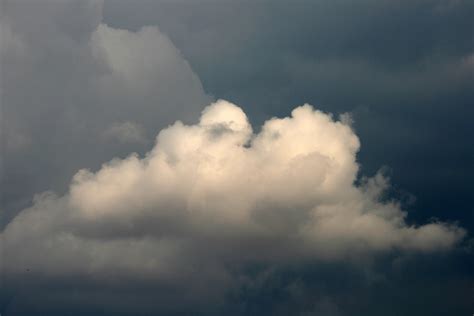 White Cloud With Flat Base Free Stock Photo Public Domain Pictures