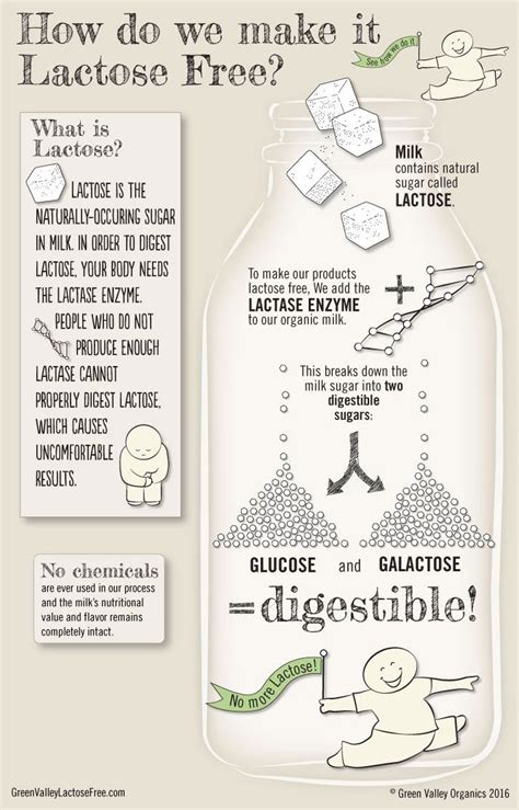Hence the higher protein content (more stable foam) and. How do you make your products lactose free? | Lactose free ...