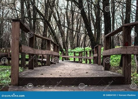 Wooden Bridge In The Forest Stock Photo Image Of Autumn Glare 34804102