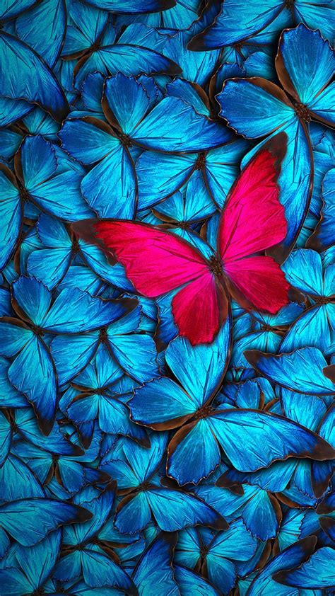 Butterfly Wallpapers Fondosio En Mariposas Fondos De