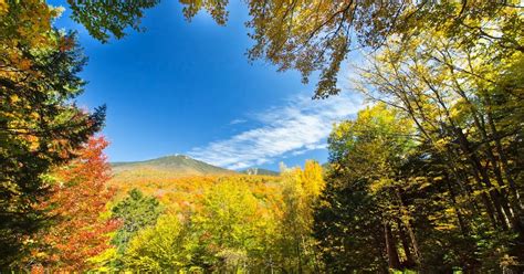 The Freelance Adventurer 5 Best Fall Foliage Hikes In The White Mountains
