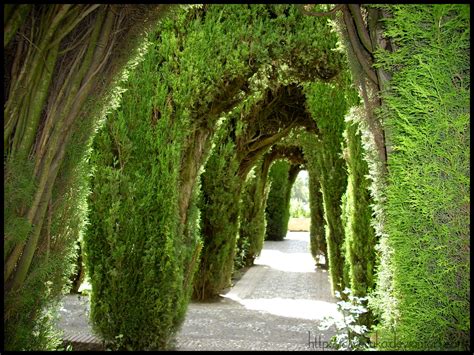 Hasilnya pun membuat kamu lebih mudah menggambarnya lagi. Beautiful Garden - Taman Yang Indah - Relaks Minda