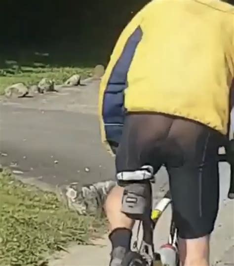 See Through Cycling Shorts Yes Or No Bike Faff