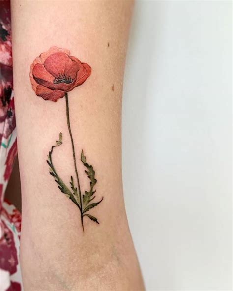 Top 118 Watercolour Poppy Tattoo