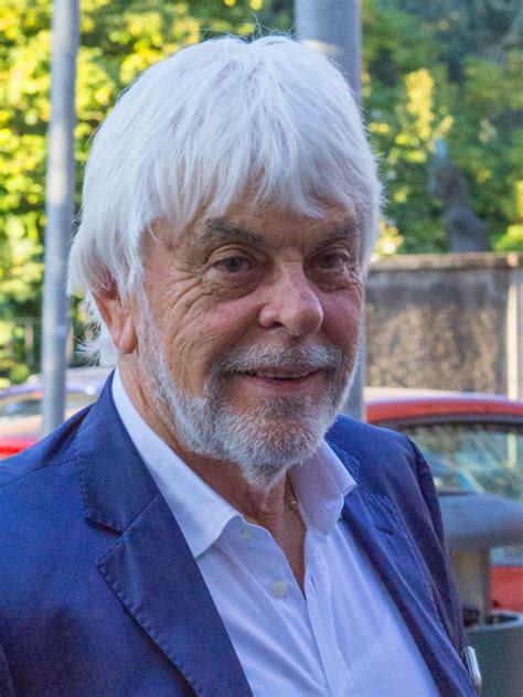 L'allarme è stato dato dalla figlia dello scrittore. Valerio Massimo Manfredi, biografia, storia, libri e ...
