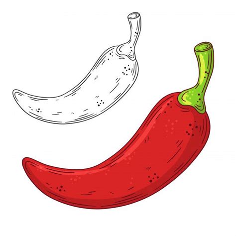 Hand Drawn Doodle Red Chilli Pepper How To Draw Hands Stuffed Peppers Chilli Pepper