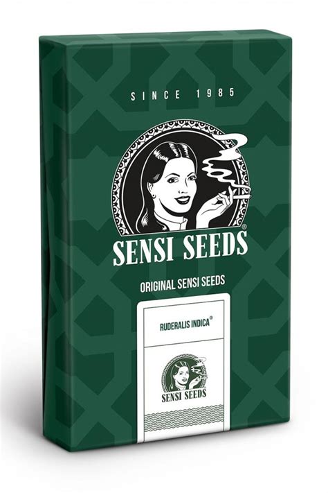 Ruderalis Indica Buy Sensi Seeds Cannabis Seeds