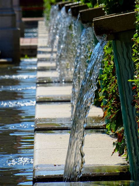 Outdoor Water Fountain Near Green Leafed Plant · Free Stock Photo