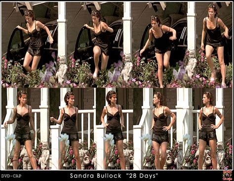 Sandra Bullock In Several See Thru And Upskirt Shots Porn Pictures Xxx