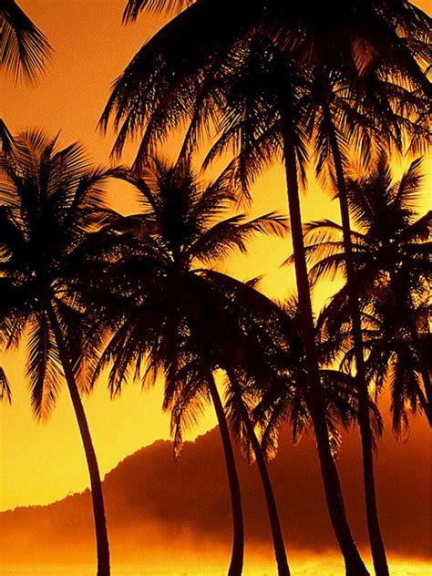 Sunset Beach Hawaii Iphone Wallpapers Top Free Sunset Beach Hawaii