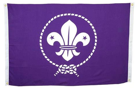 Fly The World Scout Flag World Scouting