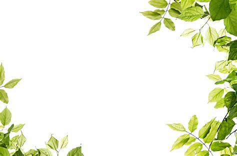 Floral border clip art leaf border clipart page borders elements dividers doodles lineart blacklines leaves black leafy vines winchesterlambourne. Green leaves frame PNG