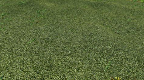 Fs19 Texture Of Straw Hay Grass V10 Farming Simulator 19 Modsclub