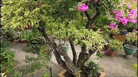 STRESS RELIEVER / CINEMATIC - YouTube