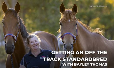 Blog Getting An Off The Track Standardbred With Bayley Thomas