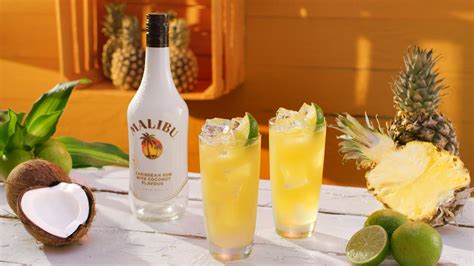 Mixed Drinks Recipes With Malibu Rum Bryont Rugs And Livings