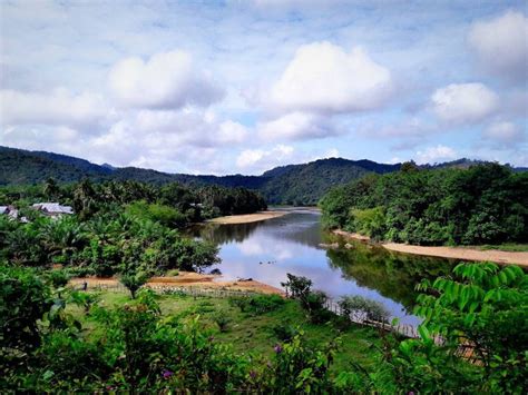 5 Provinsi Dengan Kawasan Hutan Terluas Di Indonesia