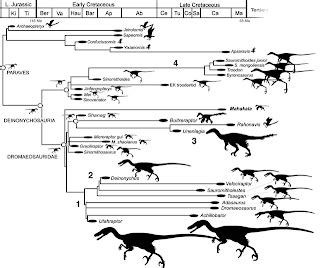 Pada artikel ini saya tambahkan 2 poin yaitu warna pink dan ungu, kedua warna tersebut. Anchiornis huxleyi Spesies Dinosaurus Yang Memiliki Tubuh ...