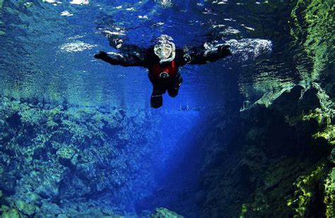 Exploring Icelands Underwater World With Diveis Icelandic Times