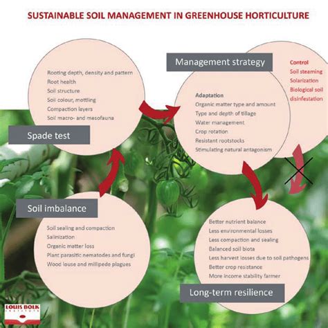 4 Sustainable Soil Management In Organic Greenhouse Horticulture Some