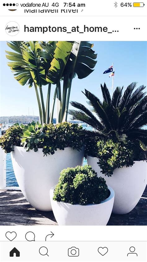 various sized pots and plants at different heights (With ... They come in a variety of colors varying from bright green to a rich plum.