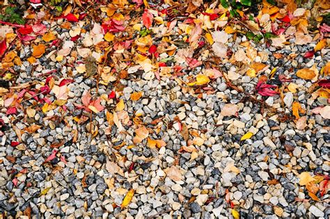 Premium Photo Autumn Beautiful Natural Background Of Pebble With