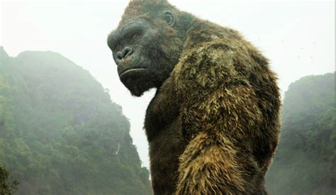 Godzilla Vs Kong Reveals Skull Islands Major Makeover Laptrinhx News