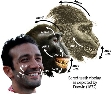 Revisiting Darwins Comparisons Between Human And Non Human Primate