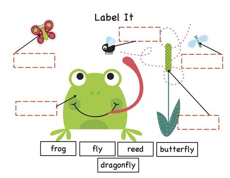 Preschool Printables Pond Frog Theme Preschool Spring Lesson Plans