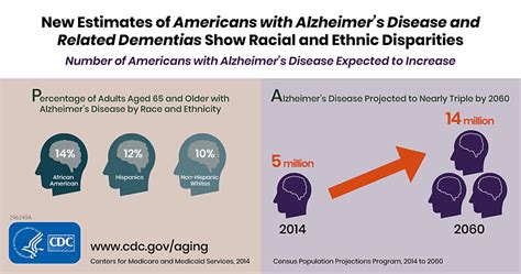 Alzheimers Disease And Related Dementias Infographic