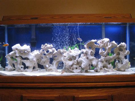 How To Set Up An African Cichlids Tank With Rocks Found