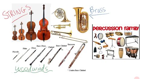 A Beginners Guide To The Orchestra Part 1