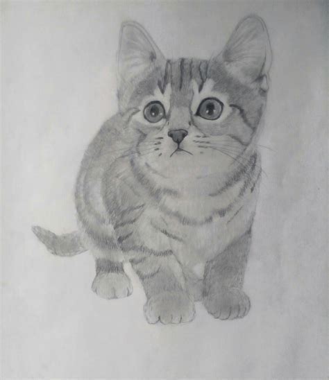 Pixel art animaux 12 modèles à télécharger gratuitement. Image de dessin facile kawaii - 14 févr