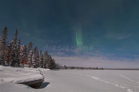 Winter Night Landscape With Forest Moon And Northern Light Over The