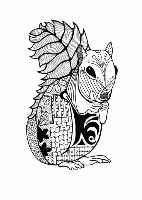 Enjoy the ideas of animals, mandala, florals, faces, people and many more. Intricate Squirrel Adult Coloring Page | FaveCrafts.com