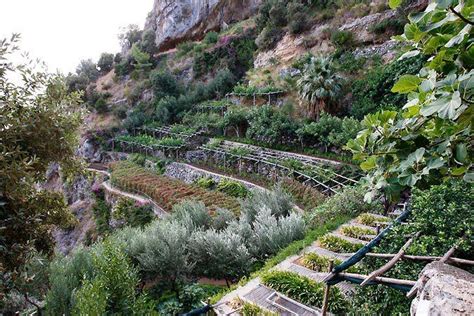 Amalfi Coast Mountainside Gardens Italy Hillside Garden Terrace