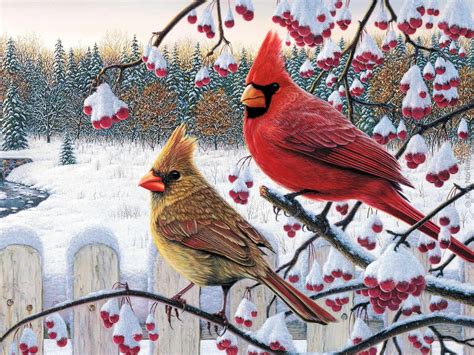 Free Red Bird Winter Wallpaper Wallpapersafari