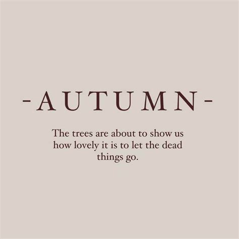 180 Fall Quotes To Celebrate The Beauty Of The Season Quotecc