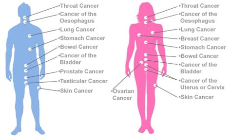 Top Most Common Types Of Cancer