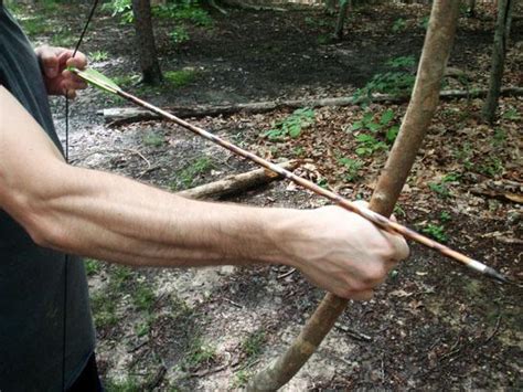 Survival Skills Make A Quick Stick Bow Outdoor Life