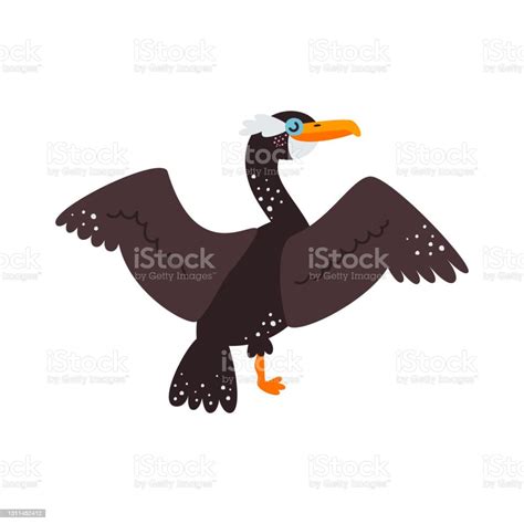 Vector Illustration On White Background Cormorant Bird Stock