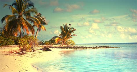 Tropical Paradise With Palm 4k Ultra Hd Wallpaper High