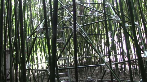 Bamboo Geodesic Dome How To Build A Geodesic Dome With Bamboo Struts