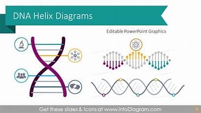 Helix Dna Ppt Template Diagrams Powerpoint Company