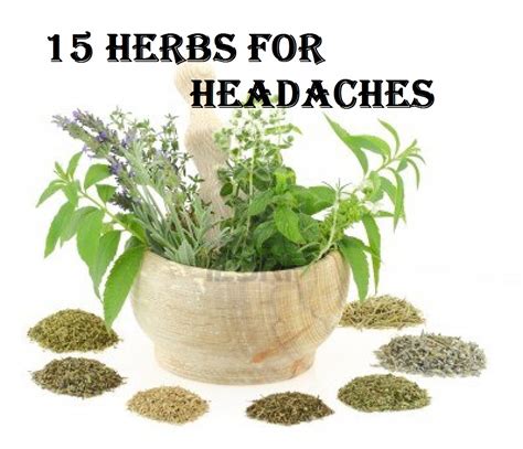 Herbs Migraine