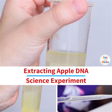 Fruit Dna Extraction Lab Science Experiment Fun With Mama