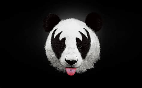 Cool Wallpaper Panda Pics Hd Images